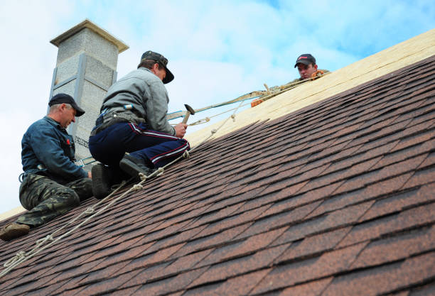 Best Tile Roofing Contractor  in Winston, OR